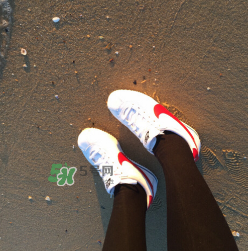 nike cortez jewel皮革版多少錢？耐克阿甘鞋皮革款價(jià)格