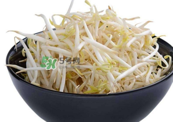 豆芽什么季節(jié)吃？豆芽什么時候有