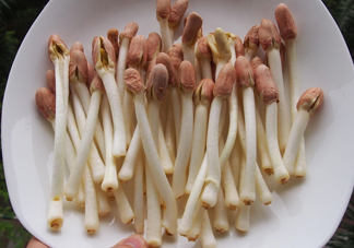 花生芽可以生吃嗎？花生芽能生吃嗎