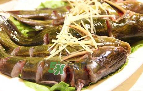 黃蜂魚怎么做好吃？黃蜂魚怎么釣