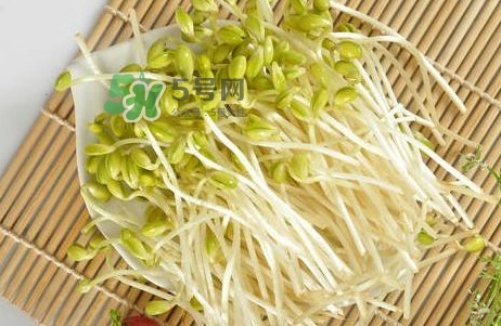 豆芽怎么保存？新鮮豆芽放冰箱能放幾天？