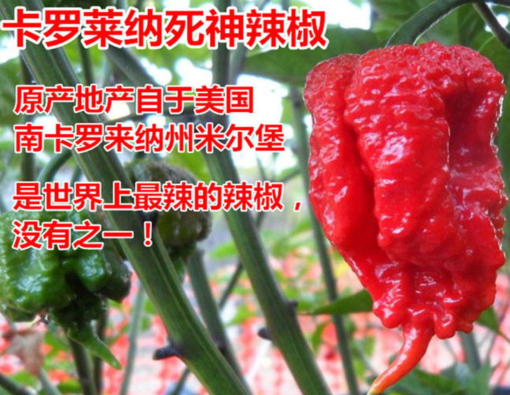 死神辣條多少錢一盒？死神辣條能吃嗎