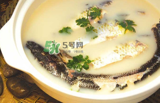 黃蜂魚怎么煮好吃？黃蜂魚燉湯孕婦可以喝嗎