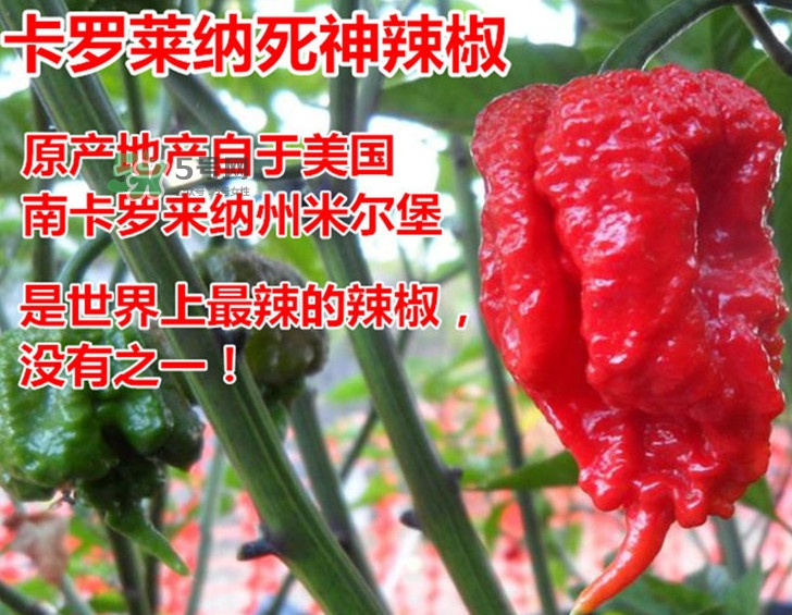 死神辣條哪兒有賣？哪里可以買到死神辣條