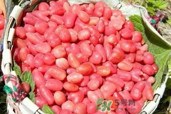 杈杷果多少錢一斤？杈杷果價格表