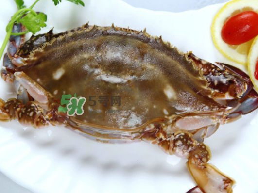 梭子蟹能放多久？梭子蟹能活多久？