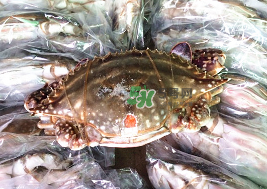 梭子蟹能放多久？梭子蟹能活多久？