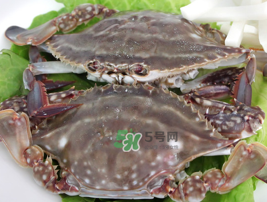 梭子蟹為什么這么貴？梭子蟹和大閘蟹哪個(gè)貴？