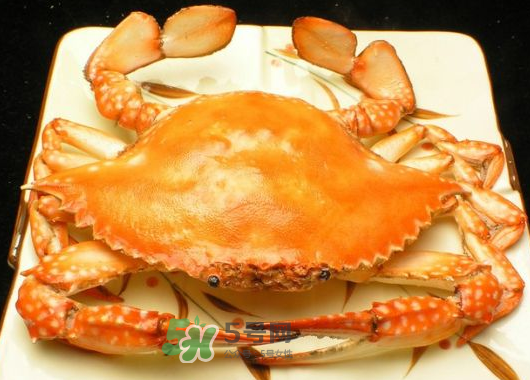 飛蟹什么時(shí)候最肥？飛蟹幾月份最肥？