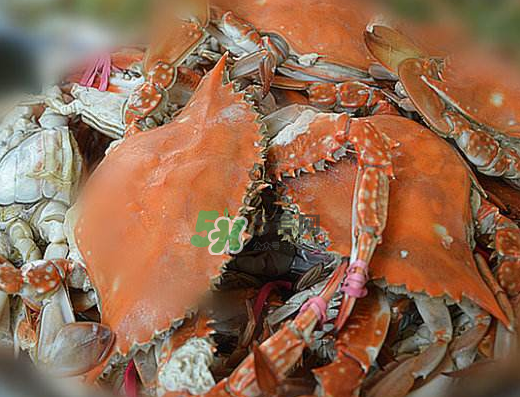 飛蟹不能和什么一起吃？飛蟹和什么不能一起吃？