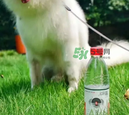 網(wǎng)易云音樂(lè)農(nóng)夫山泉樂(lè)瓶怎么玩？云音樂(lè)農(nóng)夫山泉玩法