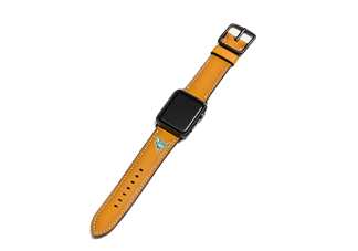 coach apple watch恐龍表帶多少錢？蔻馳蘋果手表恐龍表帶價格