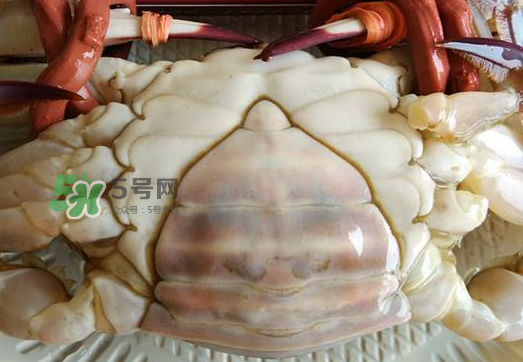 飛蟹多少錢一斤？飛蟹多少錢一斤2017？