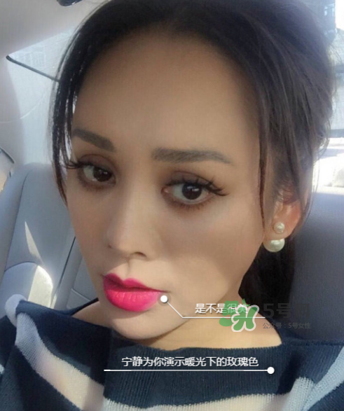 ysl208是什么顏色？ysl208適合黃皮嗎？