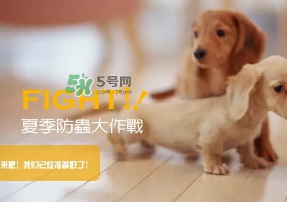 bio kill殺蟲劑怎么用？bio kill殺蟲劑怎么樣？