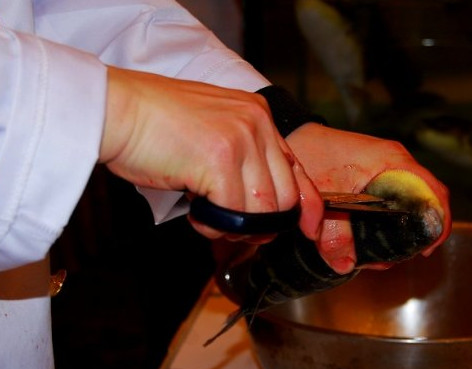 河豚魚(yú)怎么吃？河豚魚(yú)怎么去毒