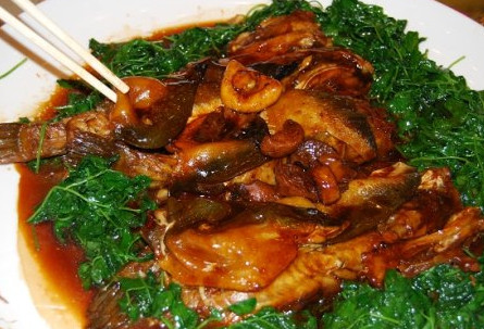 河豚魚(yú)怎么吃？河豚魚(yú)怎么去毒