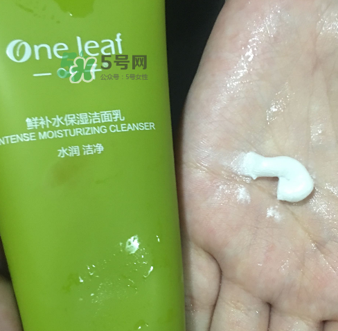 一葉子鮮補(bǔ)水洗面奶怎么樣？一葉子鮮補(bǔ)水潔面乳好用嗎？