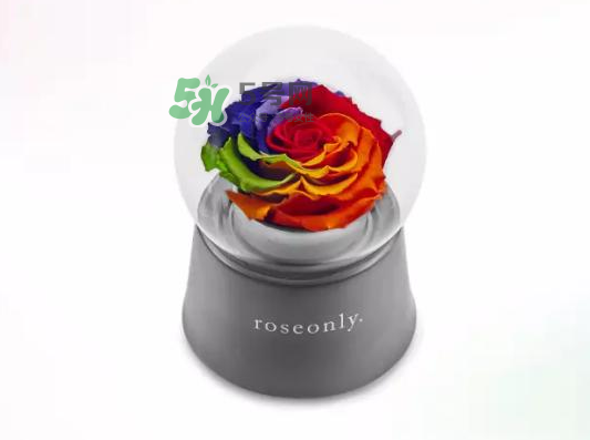 roseonly音樂盒多少錢？roseonly音樂盒歌曲名