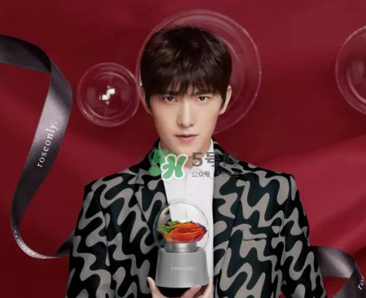 roseonly音樂盒多少錢？roseonly音樂盒歌曲名