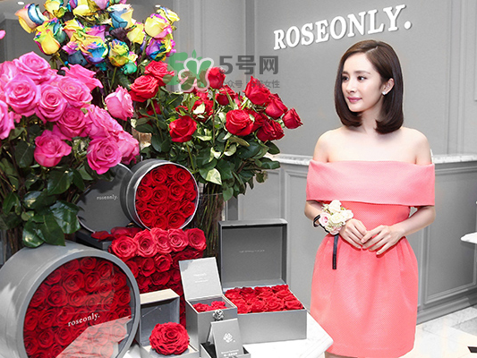 roseonly音樂盒多少錢？roseonly音樂盒歌曲名