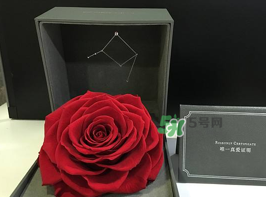 roseonly永生花可以保存多久？roseonly永生花保養(yǎng)