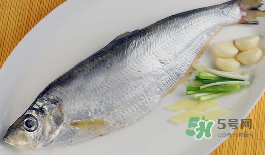 鰣魚和響魚是兩種魚嗎？鰣魚和鯽魚的區(qū)別