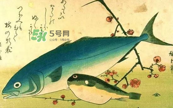 河鲀可以養(yǎng)嗎？河鲀有毒為什么還要吃