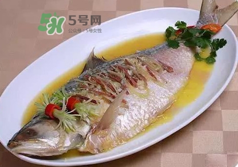 鰣魚(yú)怎么讀？鰣魚(yú)是什么魚(yú)