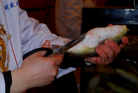 河豚魚(yú)怎么吃？河豚魚(yú)怎么去毒