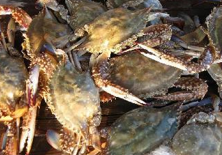 梭子蟹為什么這么貴？梭子蟹和大閘蟹哪個貴？