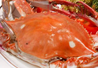 飛蟹不能和什么一起吃？飛蟹和什么不能一起吃？