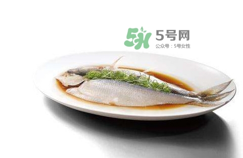 鰣魚刺多嗎？鰣魚可以養(yǎng)殖嗎