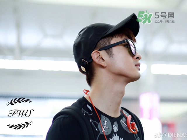 dienastie是什么牌子_哪個國家的_什么檔次