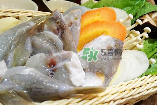 河豚可以當(dāng)寵物養(yǎng)嗎？河豚可以用淡水養(yǎng)嗎