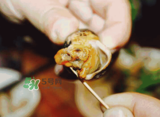 海螺多少錢一斤 海螺要煮多長(zhǎng)時(shí)間 海螺多少錢一斤 海螺要煮多長(zhǎng)時(shí)間