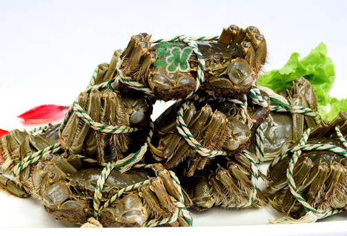 大閘蟹可以帶上飛機嗎？坐飛機可以帶大閘蟹嗎？