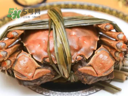 大閘蟹可以帶上飛機嗎？坐飛機可以帶大閘蟹嗎？