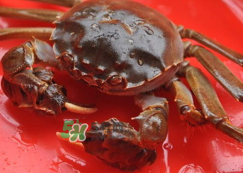 大閘蟹可以帶上高鐵嗎？坐高鐵可以帶大閘蟹嗎？