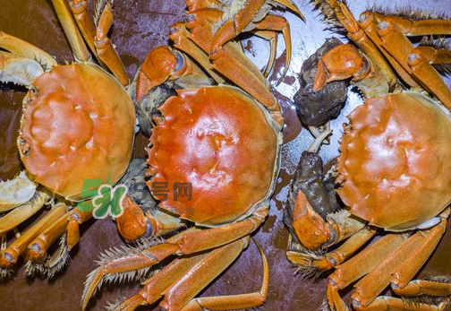 大閘蟹可以帶上高鐵嗎？坐高鐵可以帶大閘蟹嗎？