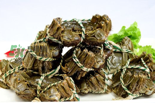 大閘蟹能活多久？大閘蟹可以活多久？