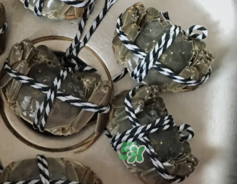 大閘蟹可以水煮嗎？大閘蟹煮多久？