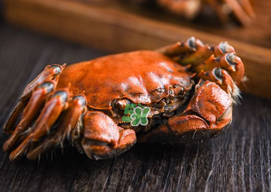 大閘蟹煮熟了能放多久？大閘蟹煮熟了可以冷凍嗎？