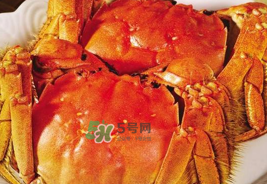 大閘蟹不能和什么一起吃？大閘蟹和什么食物相克？