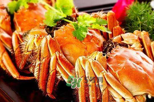 大閘蟹不能和什么一起吃？大閘蟹和什么食物相克？