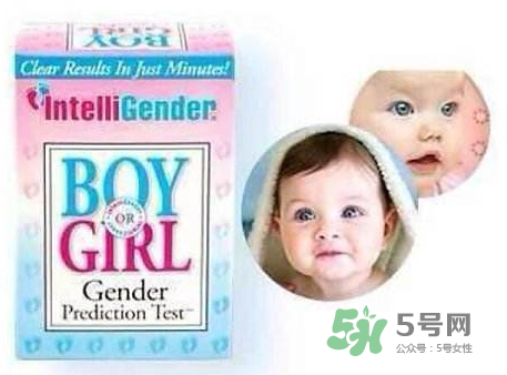 intelligender價格多少？intelligender多少錢？