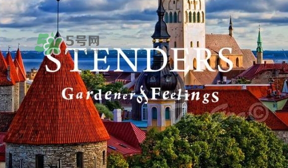 施丹蘭孕婦可以用嗎？stenders施丹蘭懷孕可以用嗎