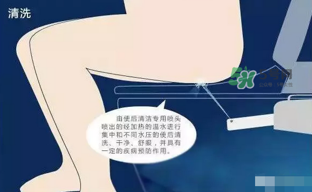 孕期可以蹲著上廁所嗎？孕期上廁所會壓到寶寶嗎？