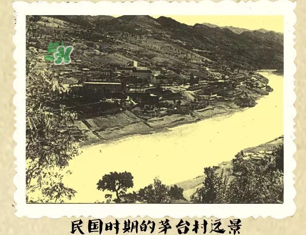 茅臺(tái)酒為什么那么貴？茅臺(tái)酒為什么這么貴