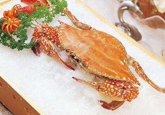 ?花蟹可以放冰箱嗎？花蟹怎么保存才新鮮？